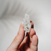Apophyllit Stufe 7A