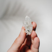 Apophyllit Stufe 7A