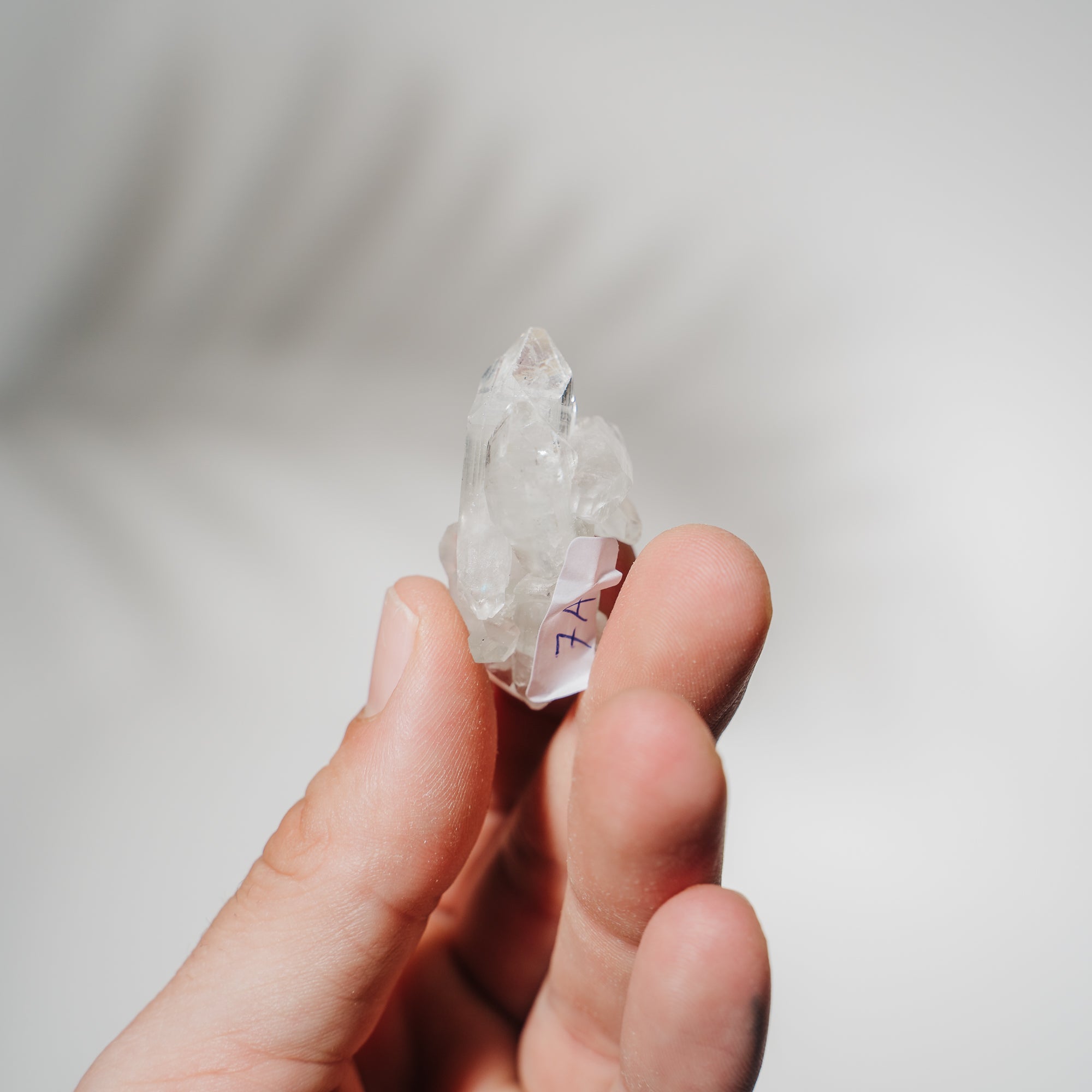 Apophyllit Stufe 7A