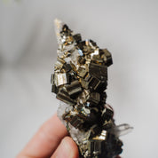 Pyrit x Quarz Stufe 148P