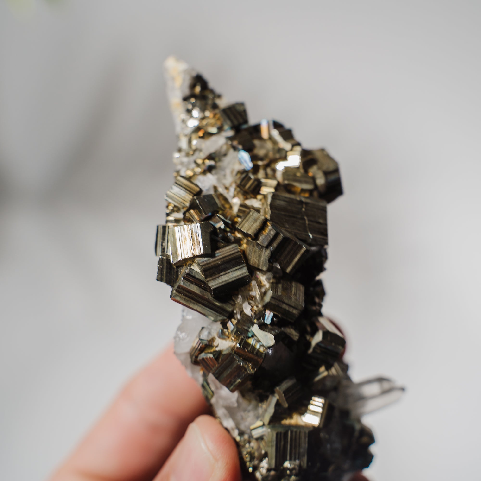 Pyrit x Quarz Stufe 148P