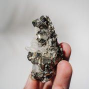 Pyrit x Quarz Stufe 51P