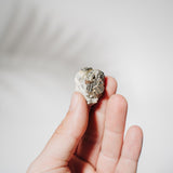 Pyrit x Quarz Stufe 14PA