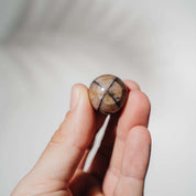 Chiastolith / Kreuzandalusit Kugeln