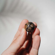 Chiastolith / Kreuzandalusit Kugeln