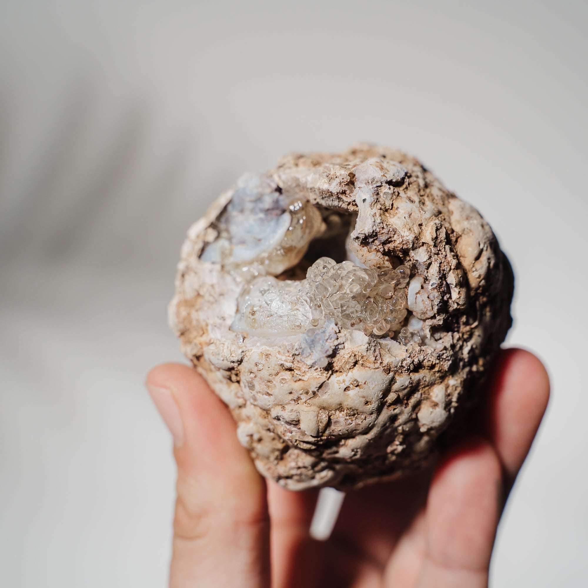 Hyalit Opal Geode 43H