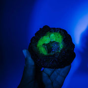 Hyalit Opal Geode 37H