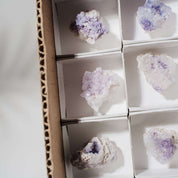 Spirit Flower Geoden