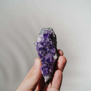 Amethyst Stufe AME22