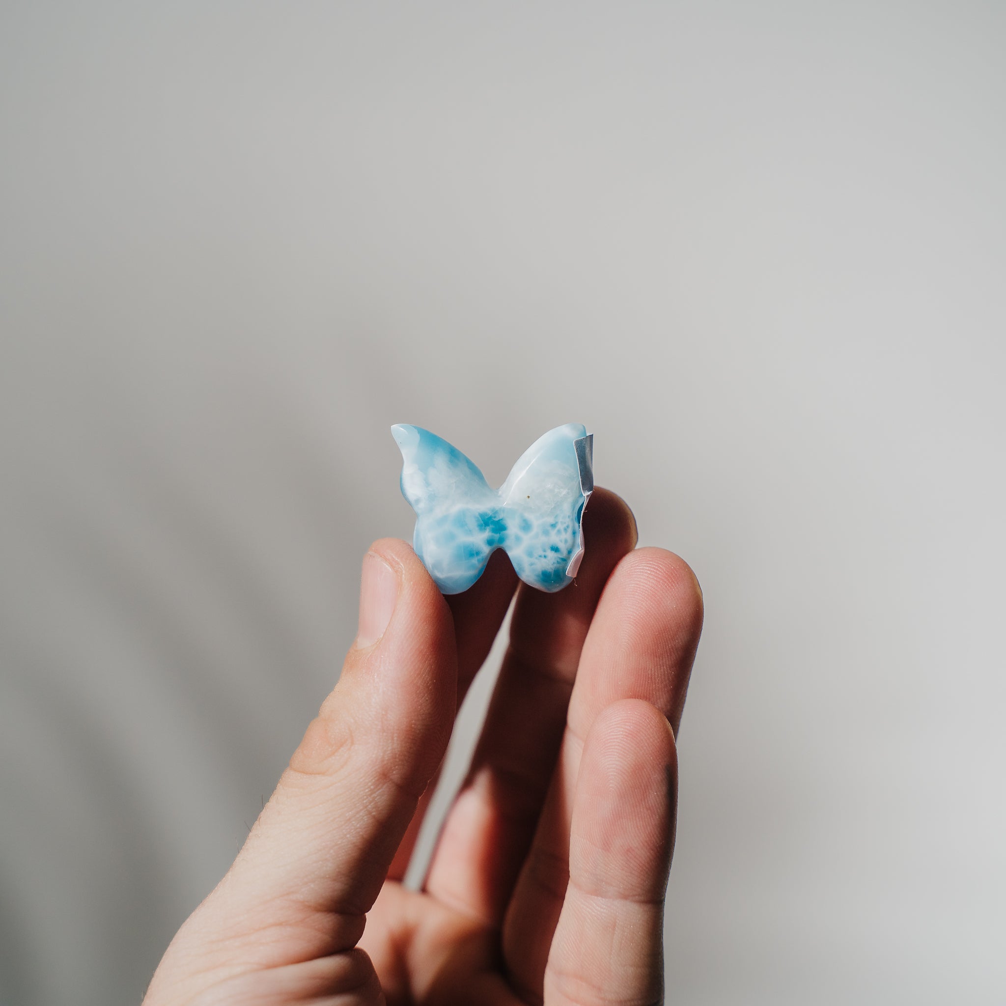 Larimar Schmetterling LBC83